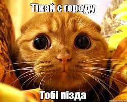 Ах ты,бл*дина!