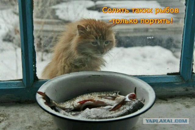 Так себе картинки 04.09.22