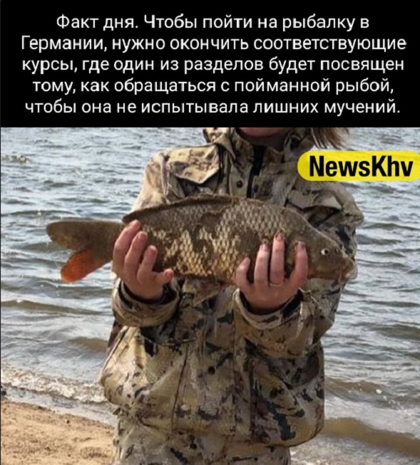 Немного картинок для настроения - 127