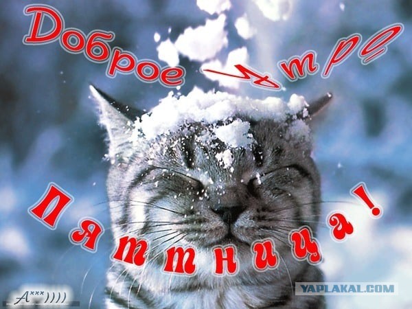 К Наде набежали женихи
