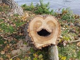 Видели брёвна?