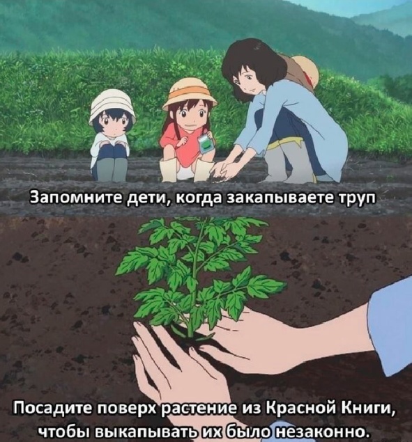 Картинки и мемы для настроения - 187