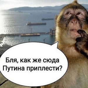 Мэт из Техаса