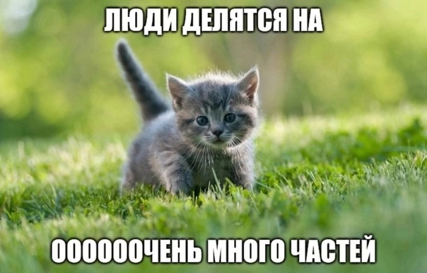 Нуштош 23.11.2023