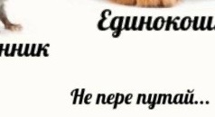 Весёлый полтшок 09.05.24