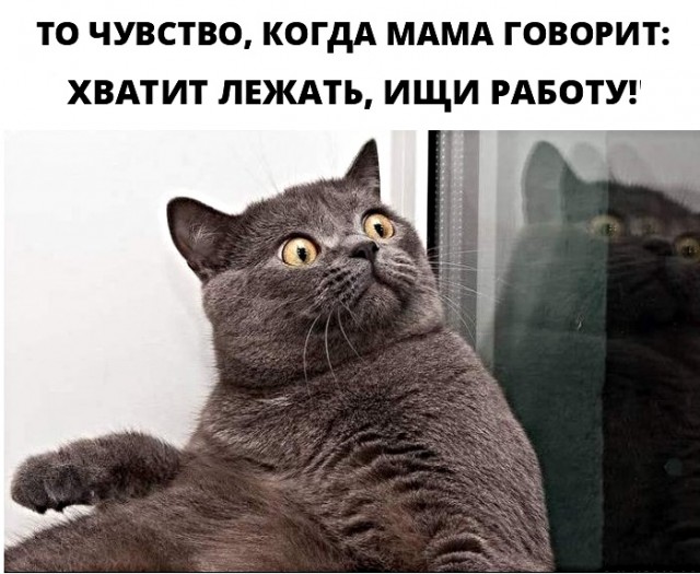 Отборные баяны 10-летней выдержки vol. 5