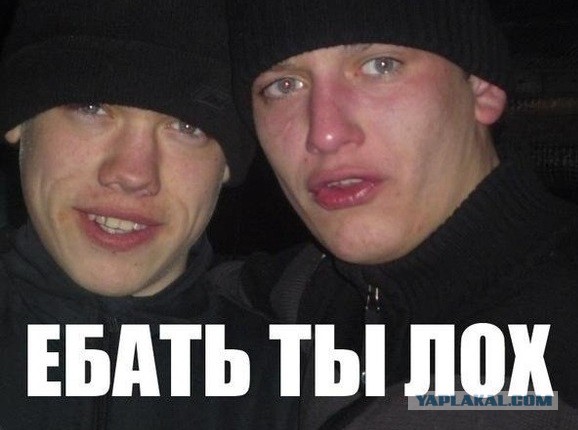 Как я покупал холодильник