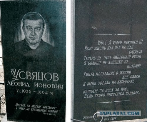 Собака без намордника нюхнула перца