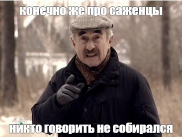 Готовимся к дачному сезону 2025