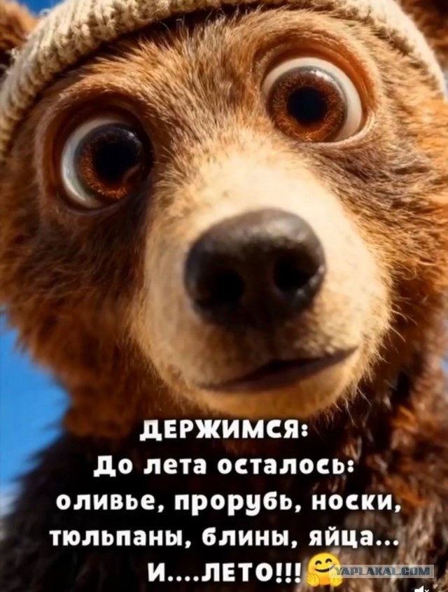 Так себе картинки 09.12.25