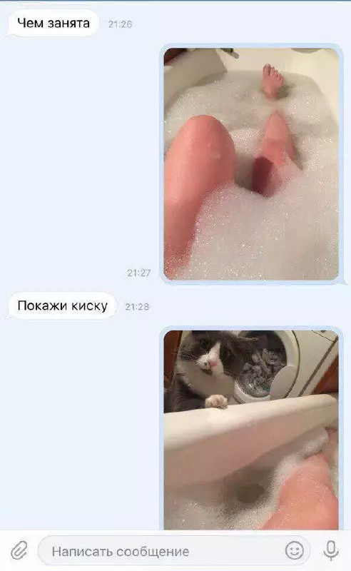 Картиночки, баянчики 16 апреля