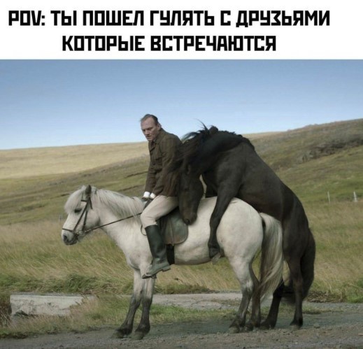 Картиночки, баянчики 10 июня