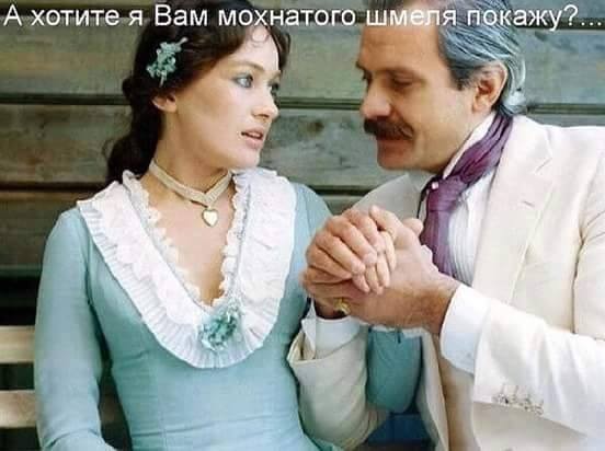 Насекомые