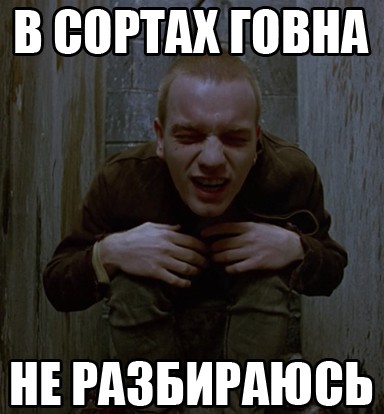 Шаману почему то никто не стал подпевать на 80-тысячных «Лужниках»