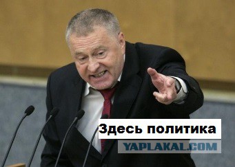 Владимир Вольфович негодует