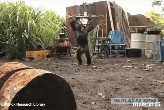 Свободное ношение оружия в Украине