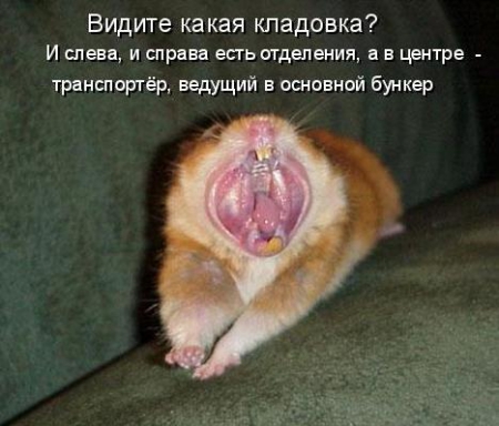 Человек с резиновым ртом