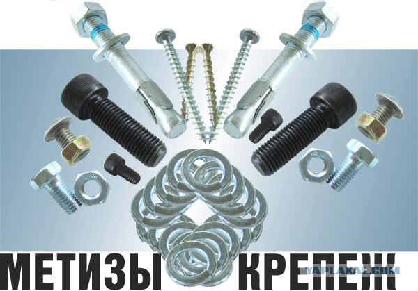 Папа норка, мама бобер!