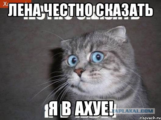 Мой муж - извращенец