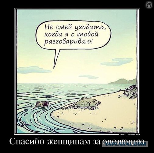 Позитивные картинки и комментарии.