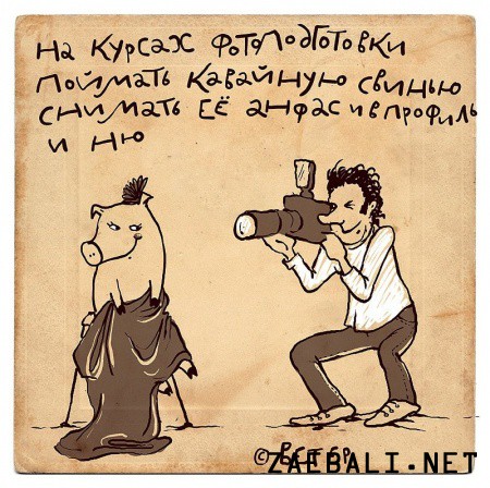 Веселые картинки