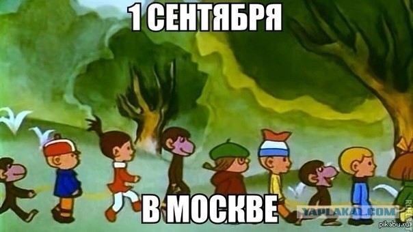 Комментарии из сети