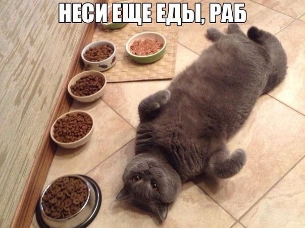 Снова картинки (что-то взгрустнулось)