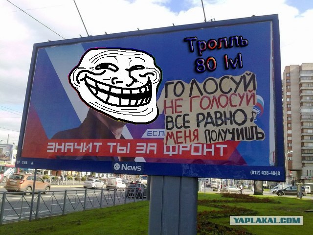 Голосуй, не голосуй