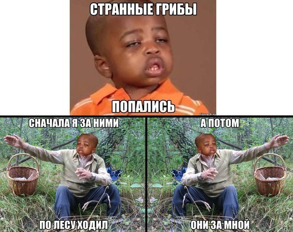 Свежие картинки из сети