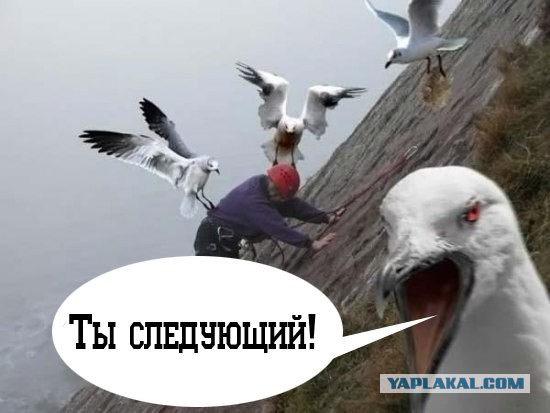 Вот кого реально надо бояться