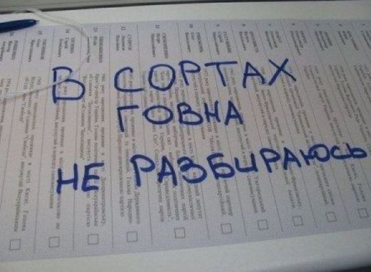 Выборы-2014: испорченные бюллетени