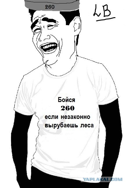 Бойся 260!