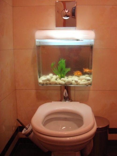 Весёлые картинки