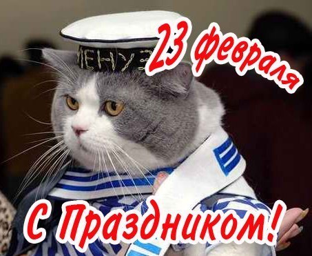 С 23 Февраля!