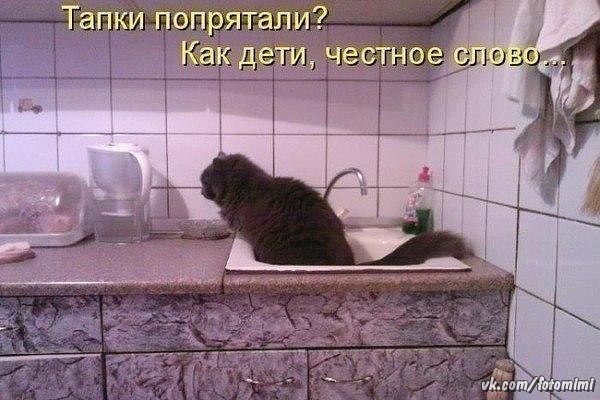 Веселости