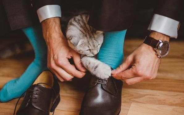 Даешь каждому коту по ботинку!