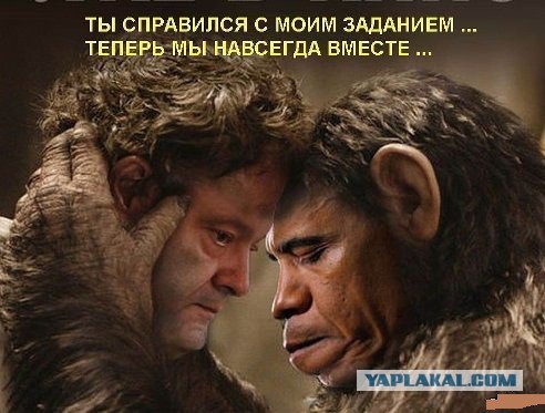 Солянка политическая #6