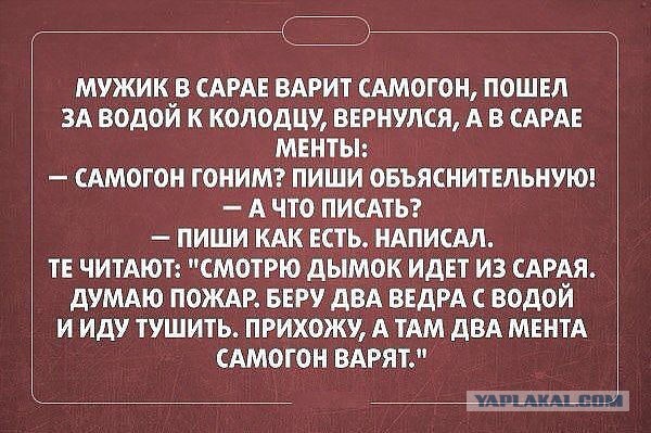 Алкопост.