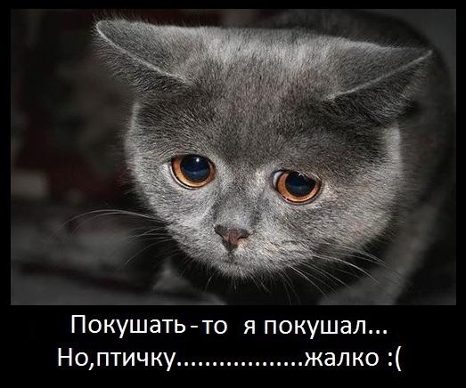 Гуси, гуси, га-га-га