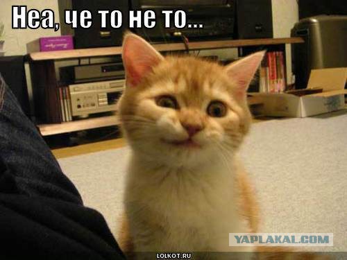 Когда кто-то плюсует твой заминусованый пост