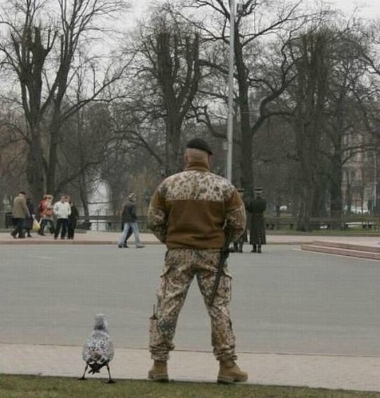 Фото, сделанные в идеальный момент