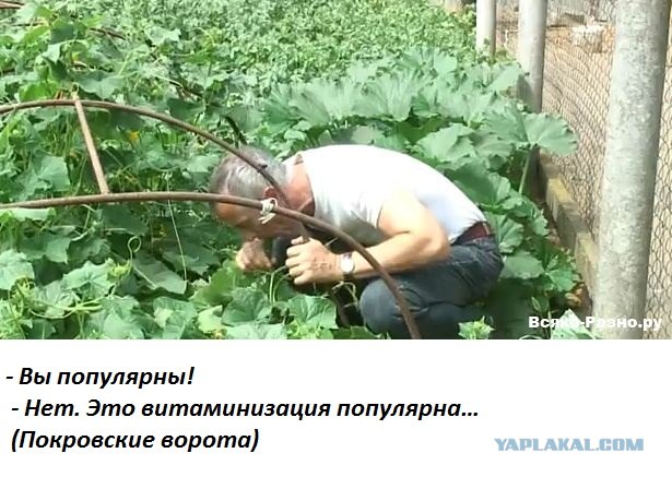 Цитаты из советских фильмов актуальны и сейчас