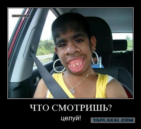 Фотографии из соцсетей.