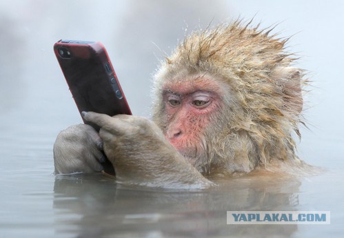 Захотел я поменять себе смартфон...