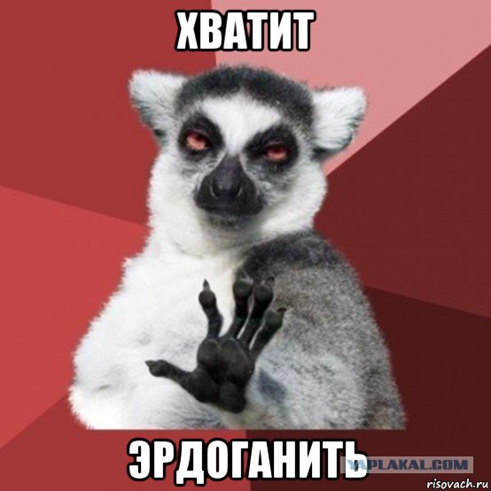 Вводим новый термин на ЯПе и в жизни - Эрдоганить
