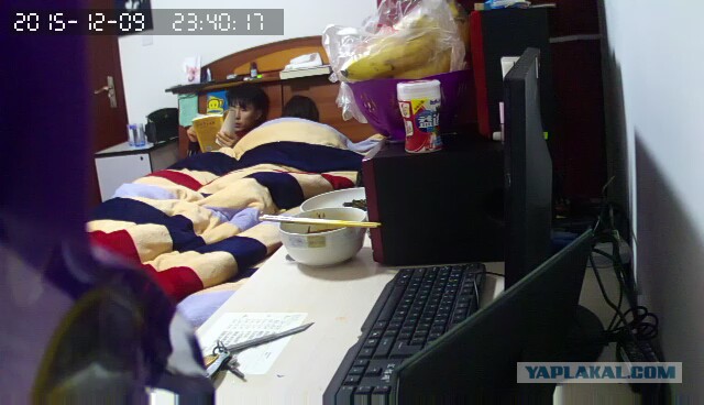 За что я люблю китайцев