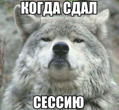 Картинки и демотиваторы