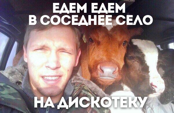 Позитив на воскресенье