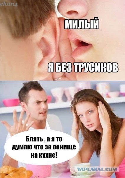Крик врача гинеколога