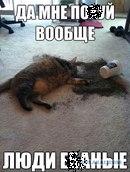 Вот это месть!